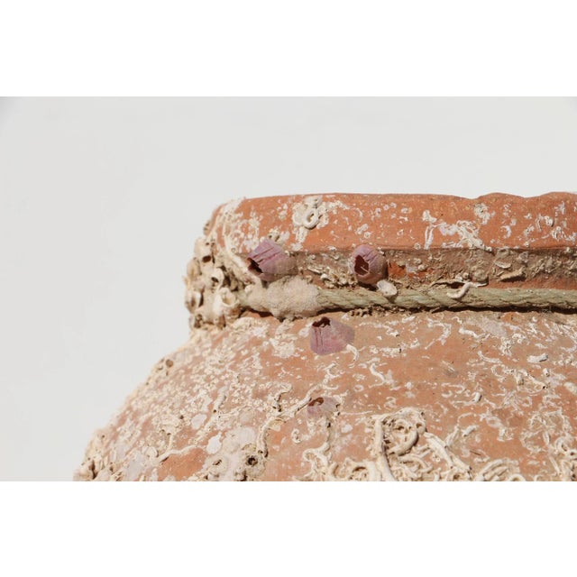 Ceramic 19th Century Antique Terracotta Octopus Trap Undersea Pot For Sale - Image 7 of 12