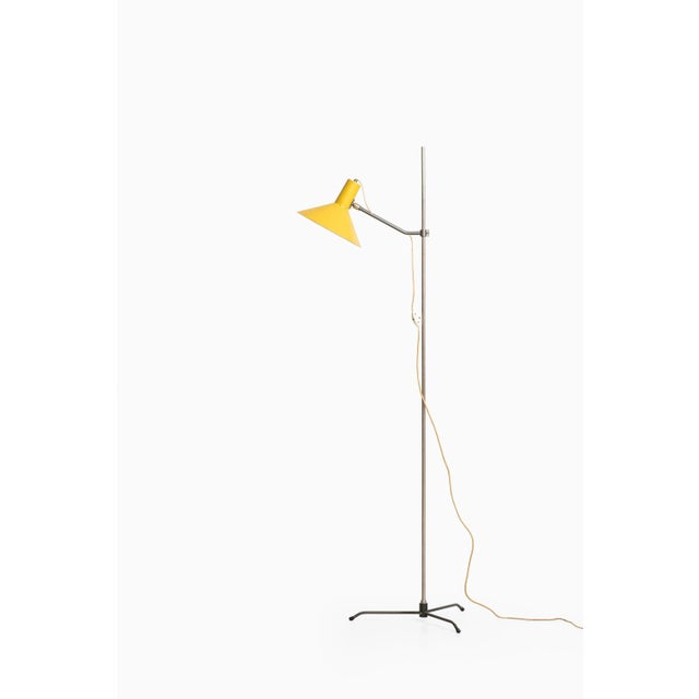 Modernist Floor Lamp by Wim Rietveld, 1950s For Sale - Image 10 of 10