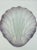 Vintage Mid-Century Translucent Sea Shell-Platter For Sale - Image 4 of 11