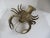Nautical Large Vintage Brass Lobster For Sale - Image 3 of 4