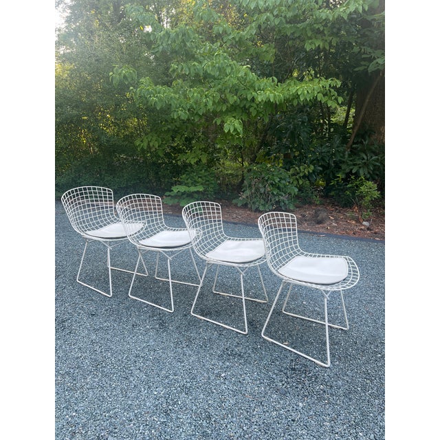 White A Set of Four Wire Chairs by Harry Bertoia for Knoll International, Circa 1970 For Sale - Image 8 of 18