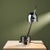 BA-5473 Adjustable Table Lamp in Chrome by Josep Maria Magem for Madom, Spain, 1970s For Sale - Image 12 of 12