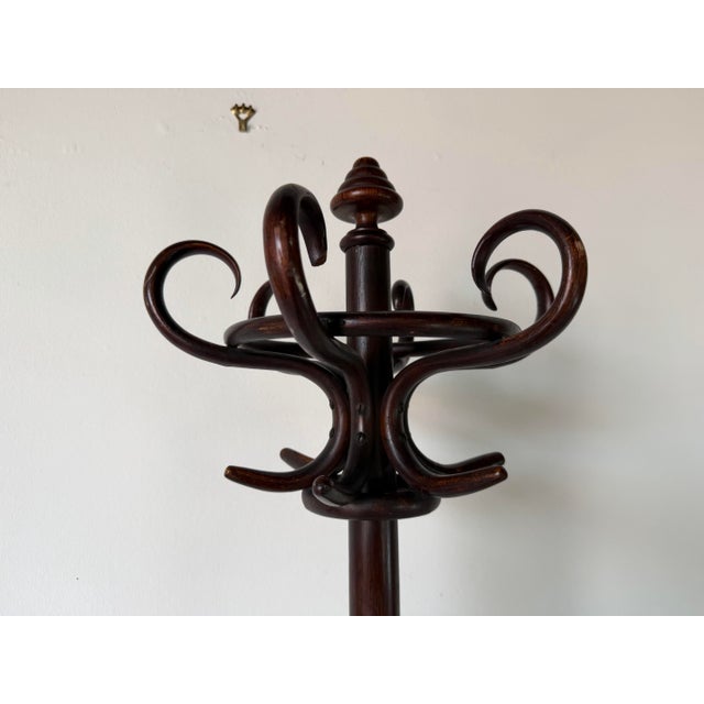 Antique Thonet-Style Bentwood Hall Tree Hat & Coat Stand For Sale - Image 10 of 12