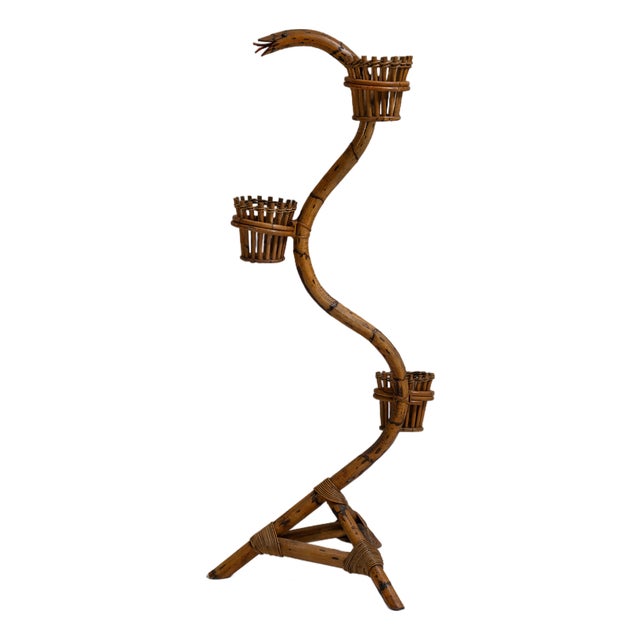 1960s French Amber Bamboo And Rattan Snake Plant Stand For Sale