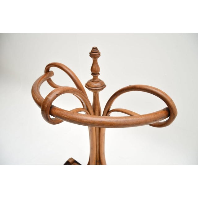 Wood Bentwood Umbrella from Thonet, 1890s For Sale - Image 7 of 11
