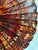 Vintage Petite Tortoise Shell Fan For Sale - Image 9 of 11