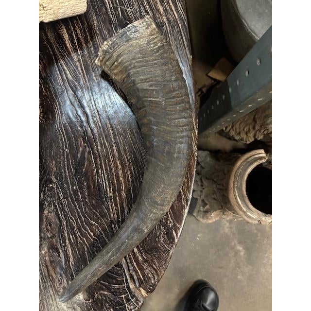 Rustic Late 20th Century Water Buffalo Skull, Thailand For Sale - Image 3 of 11