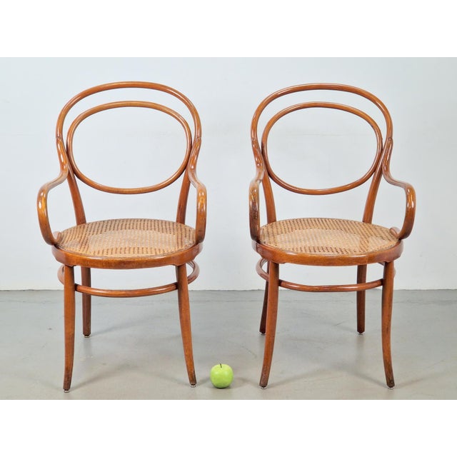 19th Century Antique Bentwood Webbing Chairs by Jacob & Josef Kohn for Wiener Werkstätte, Austria, 1890s, Set of 2 For Sale - Image 5 of 13