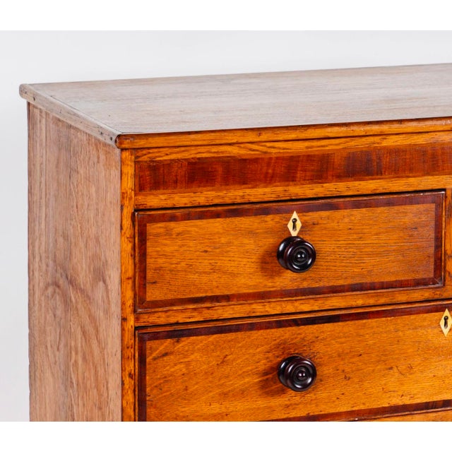 English Two-Tone Oak Chest of Drawers, 19th Century Country House Chest With Mahogany Crossbanding For Sale - Image 9 of 11