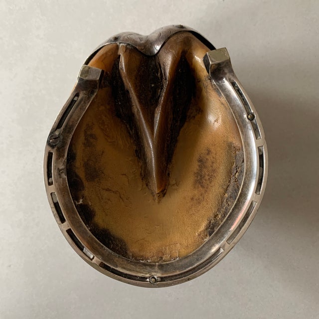 Antique Equestrian Horse Hoof Inkwell, Silver Mounted, “Duke” For Sale - Image 9 of 9