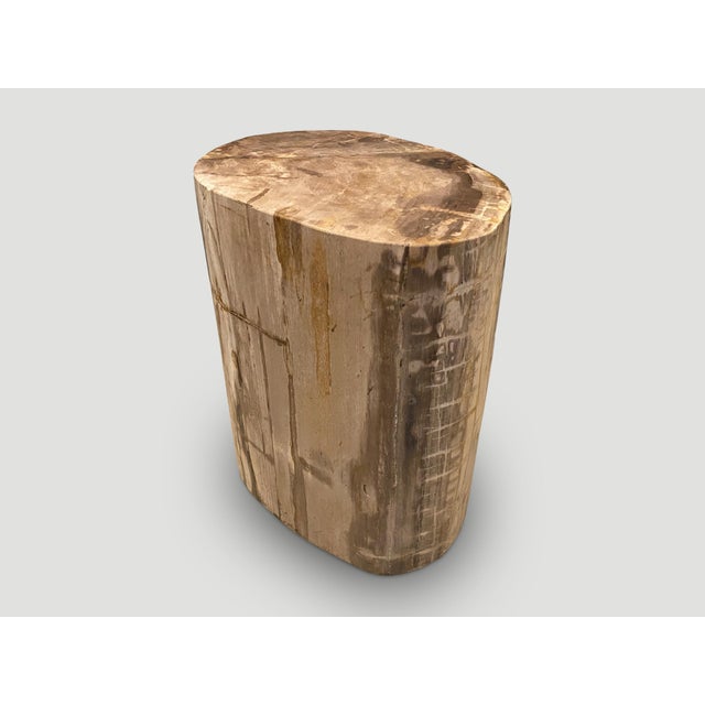 Andrianna Shamaris Large Ancient Petrified Wood Side Table For Sale - Image 18 of 18