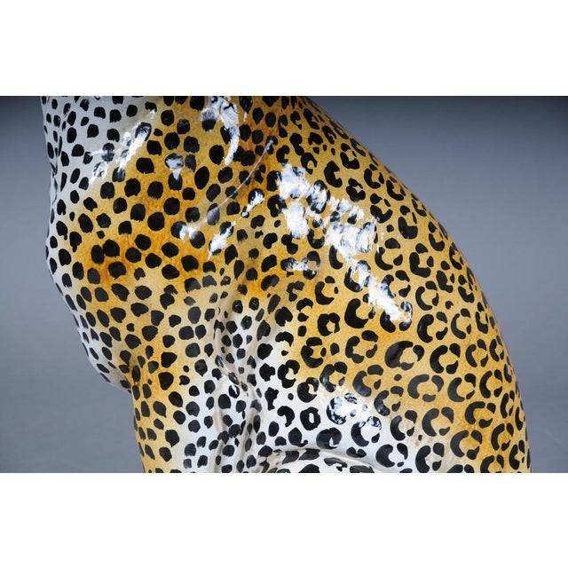 1970s Leopard with Broken Foot For Sale - Image 5 of 18