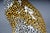 1970s Leopard with Broken Foot For Sale - Image 5 of 18