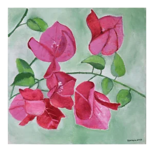 Bouganvillea - Original Oil on Canvas by Marzia Trinca - 2019 2019