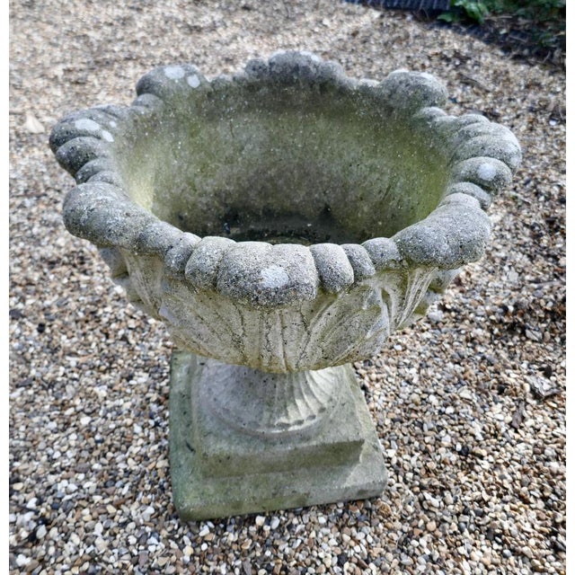 Acanthus Leaf Weathered Garden Planter, 1950s For Sale - Image 4 of 7