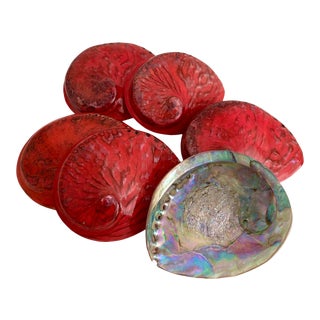 Abalone Shell Dyed Red For Sale