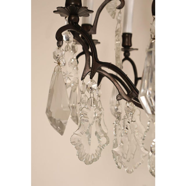 Versailles Style Crystal And Bronze Chandelier For Sale - Image 14 of 18
