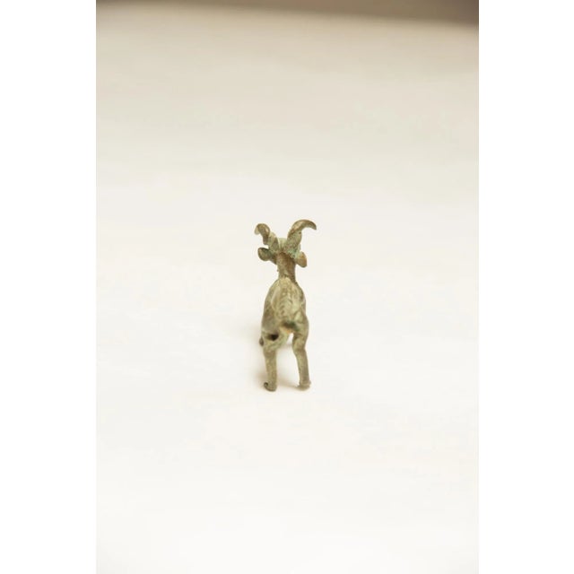 Mid 20th Century Vintage African Dark Oxidized Forward Horn Ram For Sale - Image 5 of 6