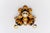Mid-Century Modern Vintage Gilded Florentine Flush Mount by Hans Kögl, Germany, 1960s For Sale - Image 3 of 9
