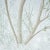 Contemporary Schumacher x Colette Cosentino Brindille Golden Accented Panel Set in Mineral - 3 Panels For Sale - Image 3 of 5