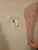 Mid 20th Century Pink Murano Sconces - a Pair For Sale - Image 11 of 11