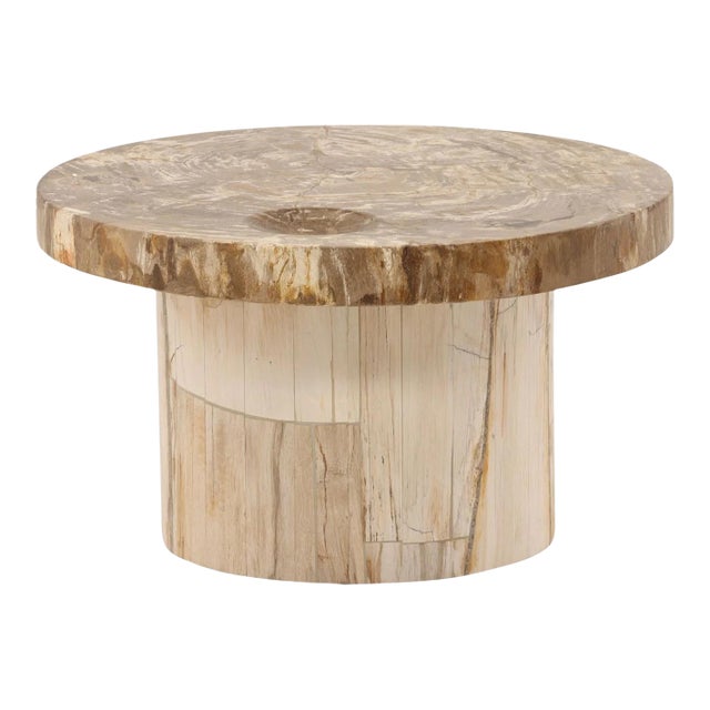 Modern Petrified Wood Coffee Table For Sale