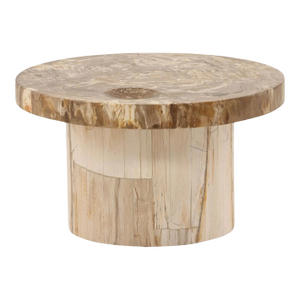 Modern Petrified Wood Coffee Table