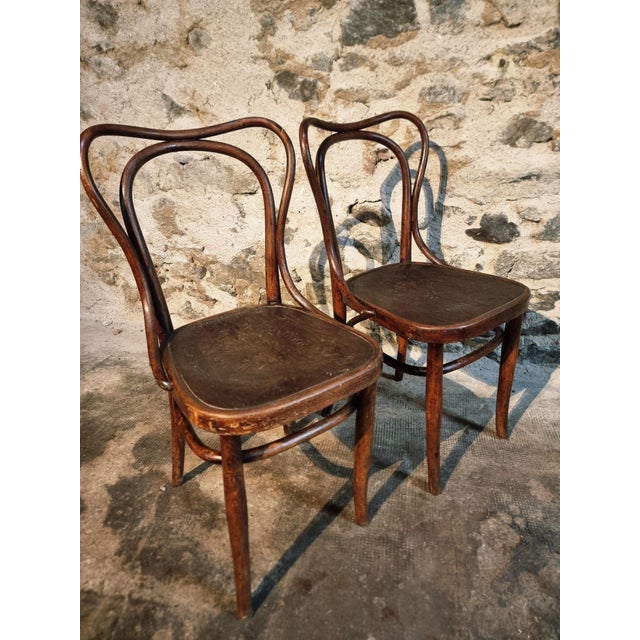 Wood Bentwood Café Chairs from Jacob & Josef Kohn, Vienna, Austria, 1900s, Set of 2 For Sale - Image 7 of 15
