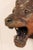 Ceramic A Terracotta Lion's Head Wall Plaque For Sale - Image 7 of 8