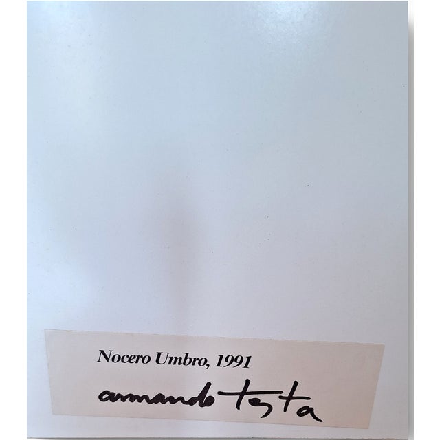 Testa Armando, Nocero Umbro, 1991, Silkscreen For Sale - Image 3 of 6