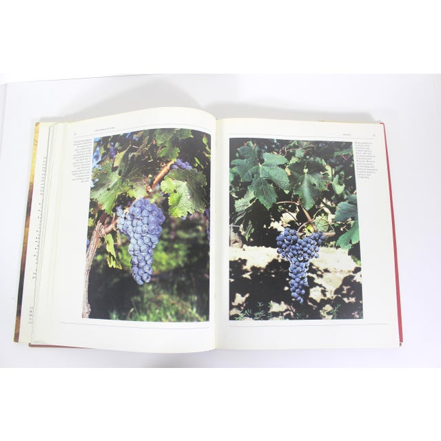 1986 the World of Wine Hard Cover Coffee Table Book David McCormack For Sale - Image 10 of 14