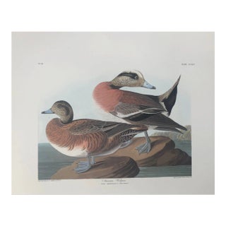 John James Audubon American Widgeon From Abbeville Edition For Sale