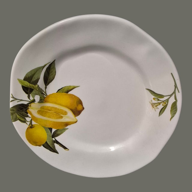 Contemporary Vintage Opificio Etico Amalfi Coast Pattern Italian Pair Lemon Luncheon Plates For Sale - Image 3 of 6