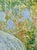 Contemporary Wisteria and Magnolia by Francesca Owen For Sale - Image 3 of 5
