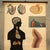 Industrial Mid 20th Century German Anatomical Educational Endocrine System Chart For Sale - Image 3 of 12