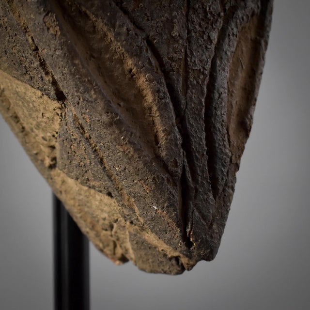 Early 20th Century Baga Nalu Banda Mask Guinea For Sale - Image 14 of 15
