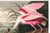 Roseate Spoonbill by John James Audubon, Vintage Art Print Reproduction, 48" × 32" For Sale In Buffalo - Image 6 of 9