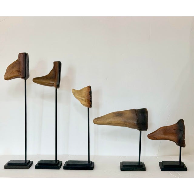 Early 21st Century Sculptural Mounted Cast Resin Anatomical Noses on Stands - Set of 5 For Sale - Image 5 of 7