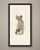 This antique anatomy print of the vagus and sympathetic nerves of the trunk is an original 1866 hand coloured lithograph...