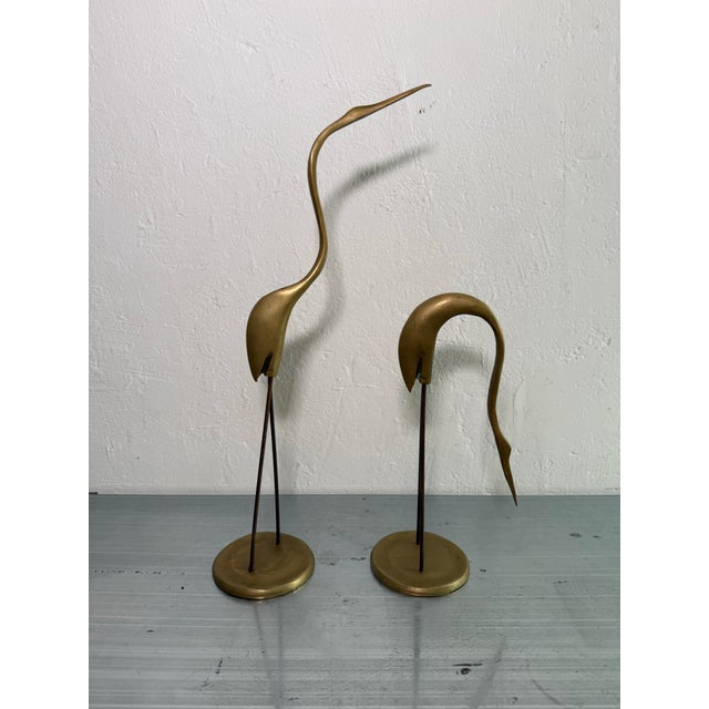 Mid-Century Modern Brazilian Mid-Century Bronze Heron Sculptures - A Pair For Sale - Image 3 of 12