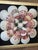 Charming custom seashell wall art inspired by traditional sailor’s valentines, featuring a beautifully arranged radial...