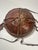 Traditional Antique Ethiopian Agelgil Woven Rattan & Leather Covered Basket 10" Diameter For Sale - Image 3 of 11