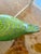 Oiva Toikka Iittala Teal Glass Bird For Sale In Las Vegas - Image 6 of 10