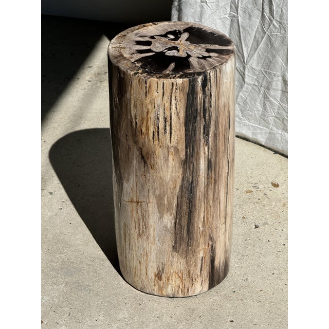 Black Multicolored Petrified Wood Side Table For Sale - Image 8 of 18