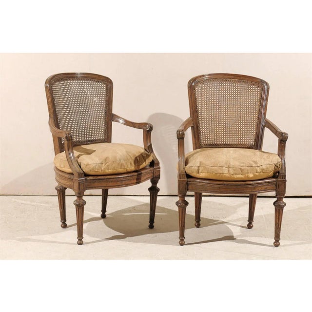 A Pair of 18th Century Italian Wooden Armchairs with Cane Seats and Backs, Tapered Legs, Scrolled Arms and Cushions.