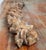 17th or 18th C. Carved Wood Decorative Swag in Baroque Style, Continental European For Sale - Image 13 of 18
