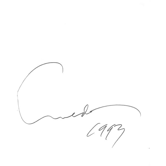 Traditional "An Autobiography" 1993 Avedon, Richard (Signed) For Sale - Image 3 of 9