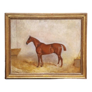 19th Century English Horse Oil on Canvas Painting by Claude Lorraine Ferneley For Sale