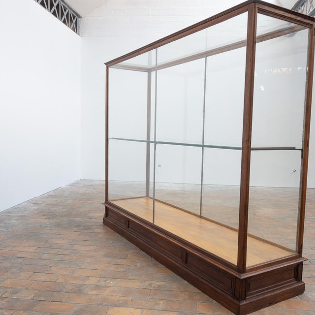 Antique Oak Museum Display Cases, 1910 For Sale - Image 13 of 18