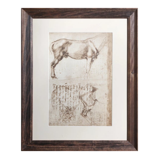 Studi di Cavalli from Disegni di Michelangelo, Michelangelo Lithograph For Sale